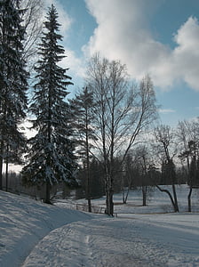 Sky, Park, træer, forår, sne, gangbro, solrig