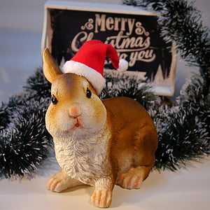 Nicolás, Navidad, liebre, conejo, celebración, invierno, regalo