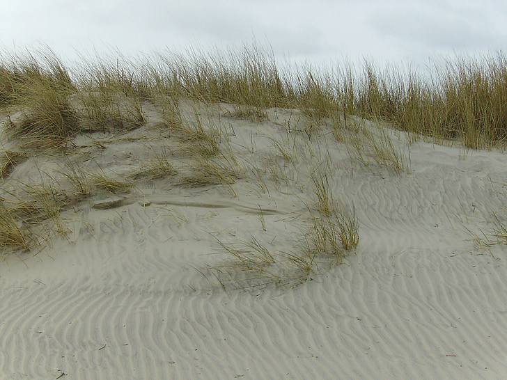 kopos, smėlio, paplūdimys