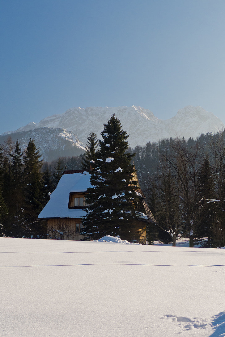 Tatry, kalni, ziemas, skats, māja, meža, sniega
