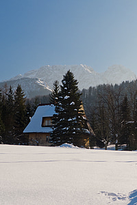 tatry, mountains, winter, view, house, forest, snow
