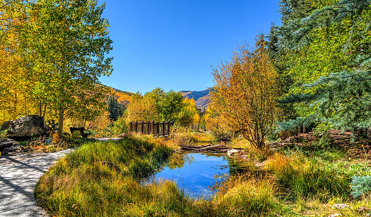 Vail, Colorado, gölet, yeşillik, Sonbahar, gökyüzü, doğa