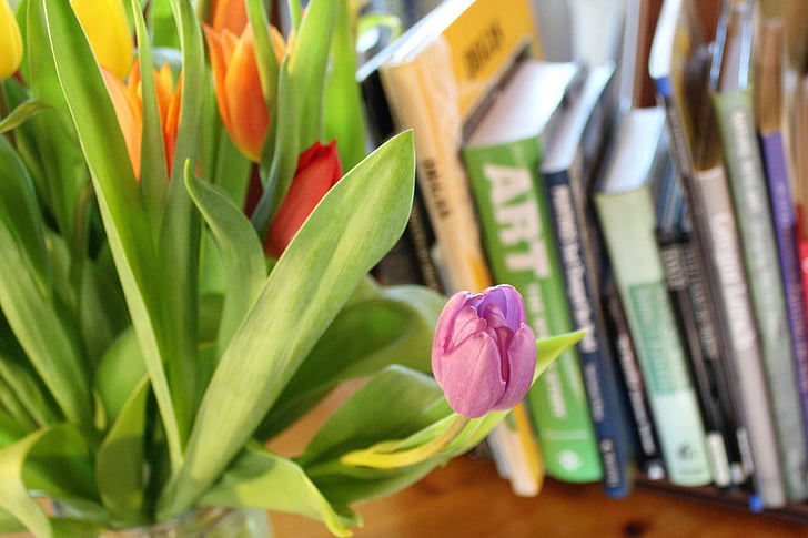 Tulip, musim semi, lampu, bunga, warna-warni, buku, buku-buku seni