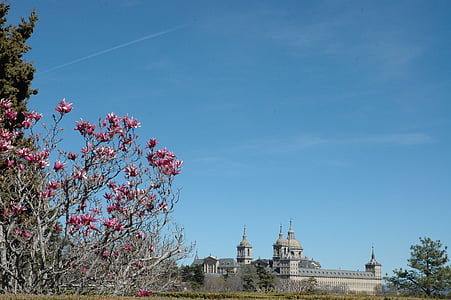 biara, El escorial, bunga, San lorenzo, arsitektur, pemandangan, dump