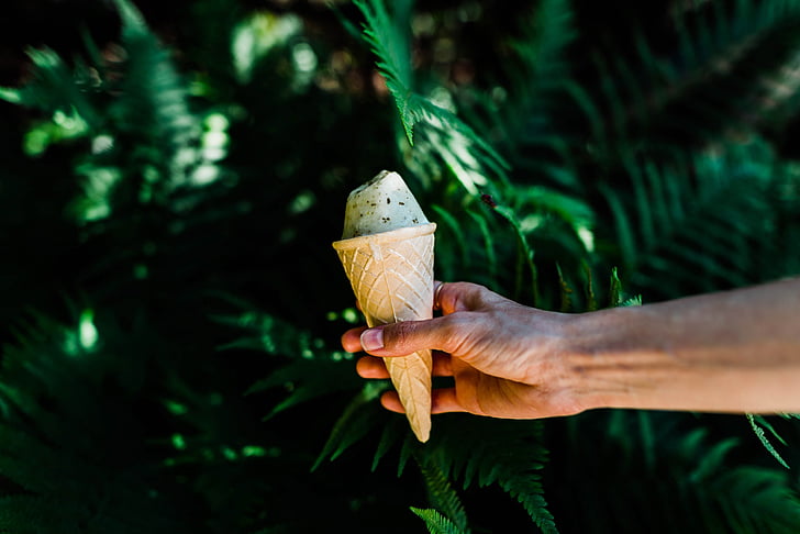 green, leaf, plant, nature, outdoor, ice cream, sweets