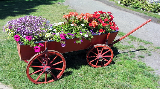 samochód, Doniczka, Latem, ogród, kwiaty, kwiat, wiosna