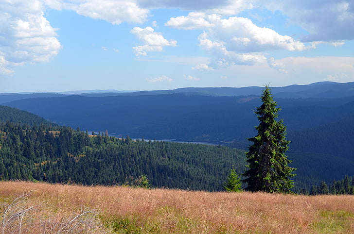 brad, height, view, the apuseni mountains, cluj county