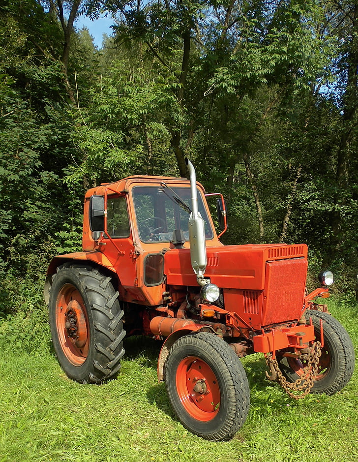 transporto priemonės, traktorius, Baltarusija, TSRS, traktoriai, žemės ūkis, Oldtimer