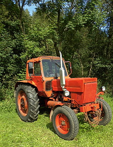 jármű, traktor, Fehéroroszország, Szovjetunió, traktorok, mezőgazdaság, Oldtimer