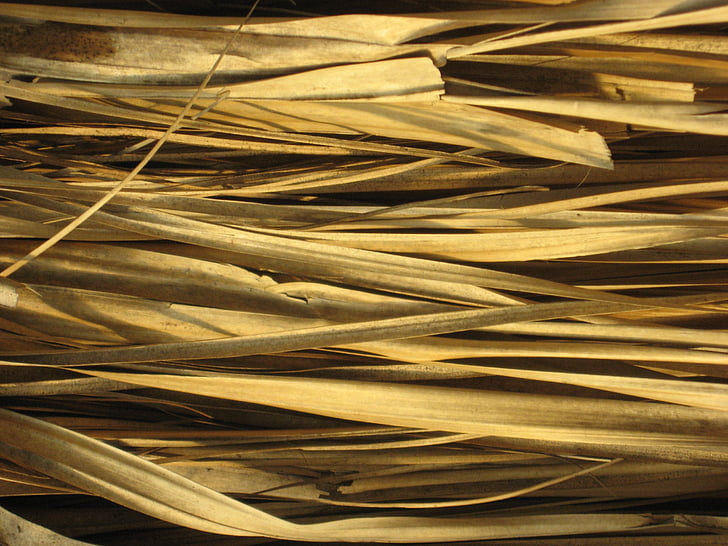 texture, straw, hut
