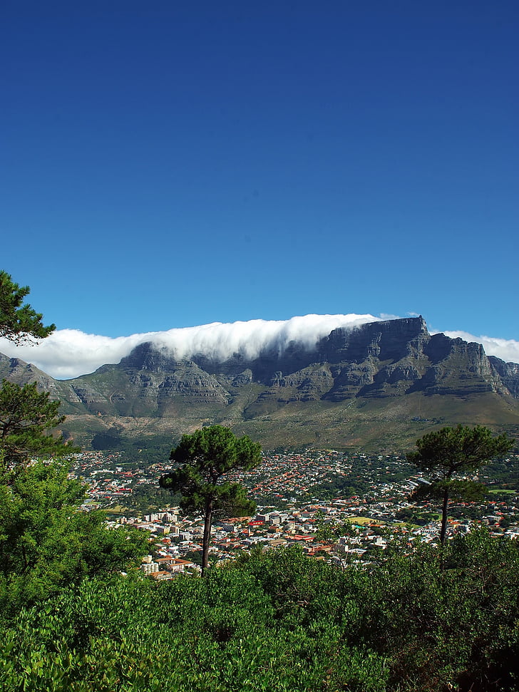 south africa, the cap, mountain, table, clouds, nature, panorama
