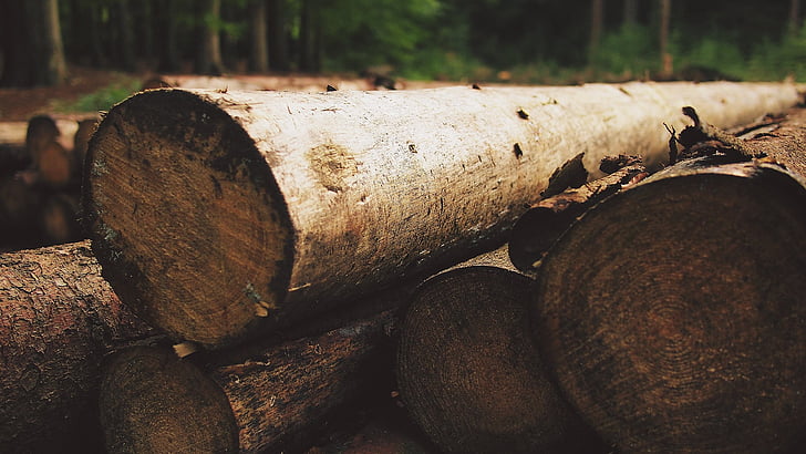 дървен материал, логове, дървен материал, гора, Уудс, природата