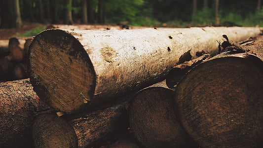 木材, ログ, 木材, フォレスト, 森の中, 自然