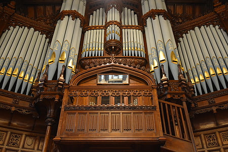 Architektūra, Airija, Derry, rotušė, organų
