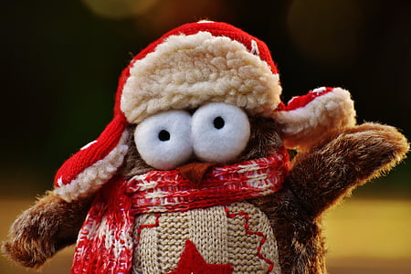 owl, plush, winter, funny, cap, scarf, bird