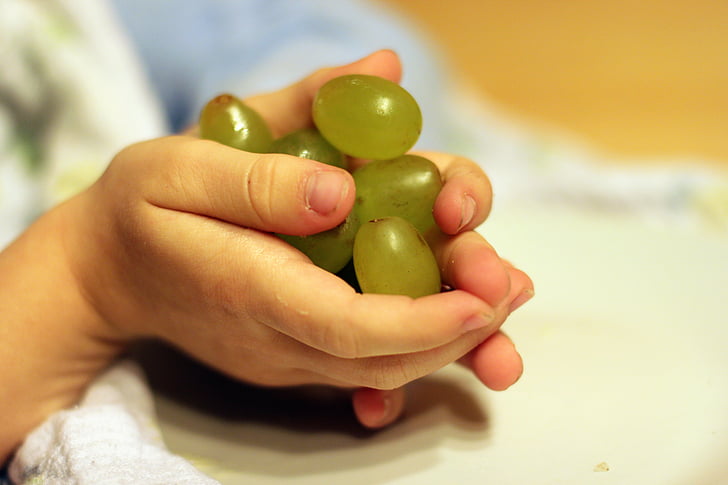 raisins, fruits, mains, mains de l’enfant, garder