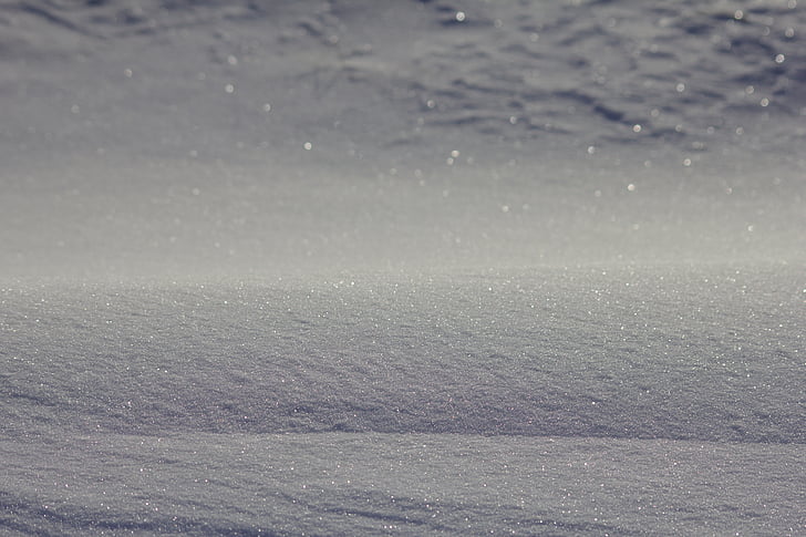 neu, blanc, fred, l'hivern, a l'exterior, Blancaneus
