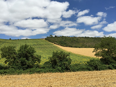 clouds, landscape, cloudy sky, france, field, holiday, provence