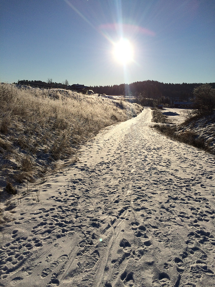 musim dingin, jalan, salju, Swedia, pemandangan musim dingin