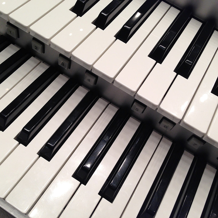 instrumenty muzyczne, klawiatury, organy elektroniczne