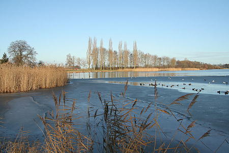 Zimní, zamrzlé jezero, Nizozemsko, chlad, Nizozemsko, voda