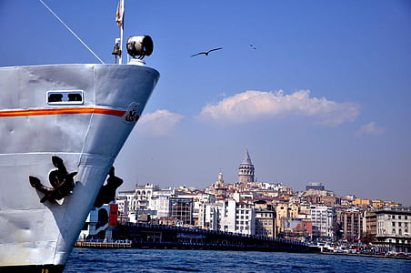 Istanbul, Galata, v, datum, Galatabron, Marine, Seagull
