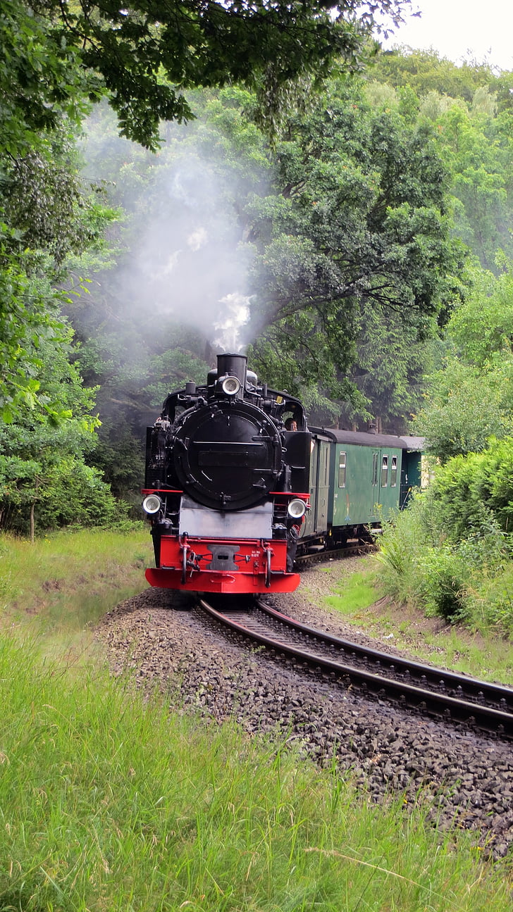 rasender roland, ferrocarril de, ferrocarril de vía estrecha, Rügen, locomotora de vapor, Turismo, tren