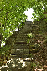 scharfenstein, stairs, gradually, stone, nature, deciduous forest, in the clouds