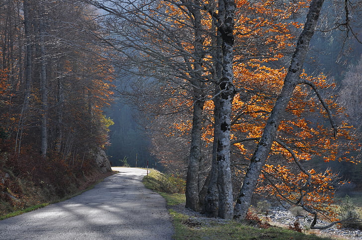 road, small mountain, fall, pyrénées, spain, huesca, color