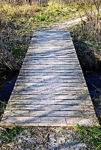 Príroda, Most, Web, chodník, malý potôčik, vody, drevené dosky