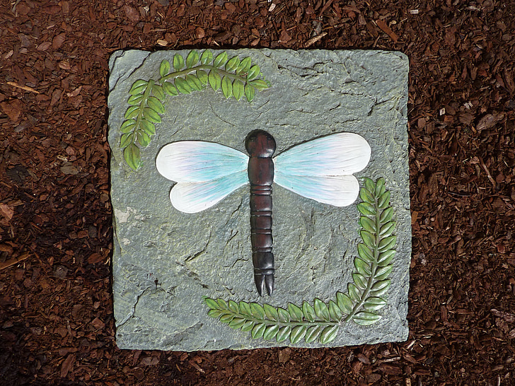 kameň, dlaždice, vážka, hmyzu, Príroda, krídla, Krok