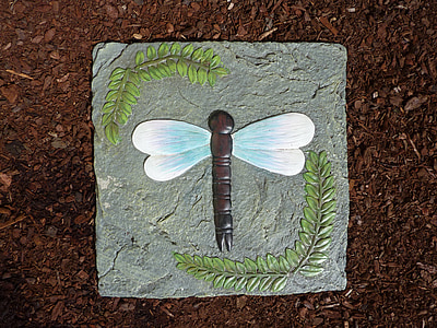 돌, 타일, 잠자리, 곤충, 자연, 날개, 단계