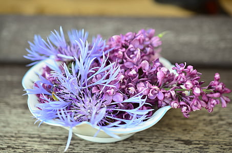 purple, petaled, cluster, flowers, white, ceramic, bowl