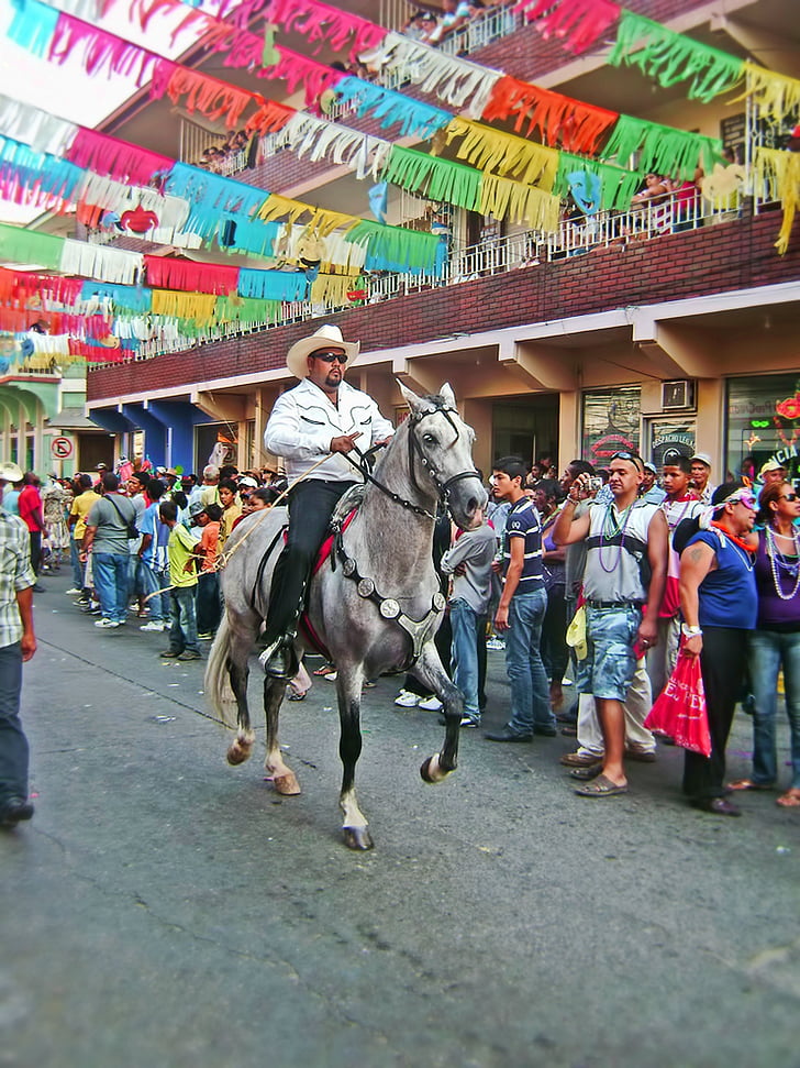 karneval, Rider, hest, farge, kulturer, folk, dyr