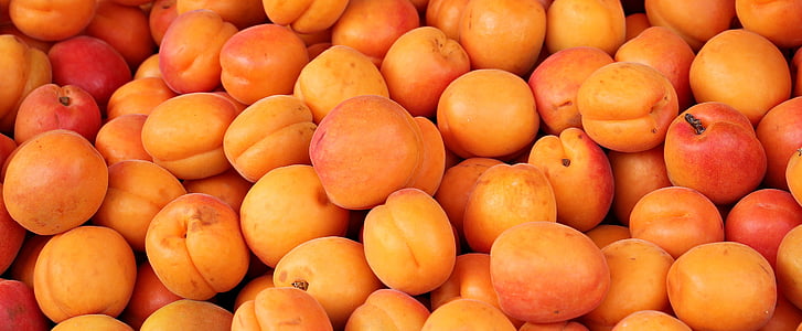 aprikot, buah, buah-buahan, Manis, sehat, lezat, Makan