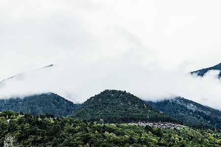 Andorra, niebla, hay niebla, bosque, montañas, naturaleza, maderas