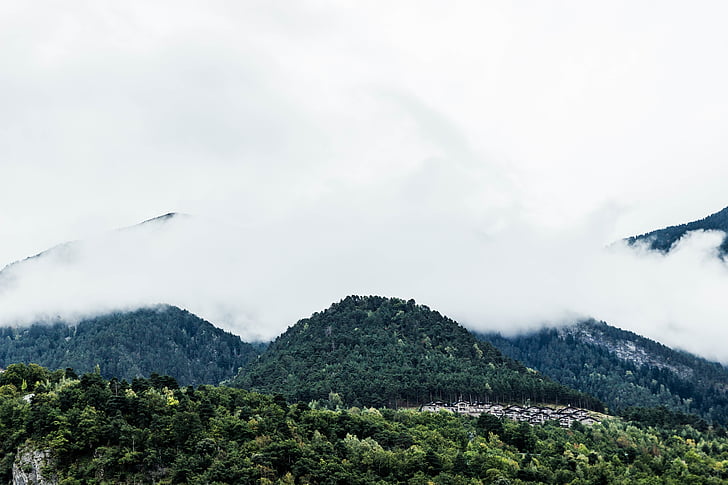 green, trees, rocky, mountains, covered, fogs, daytime