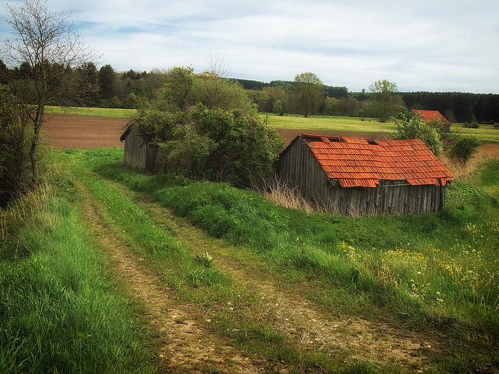 germany, farm, rural, country, countryside, dirt lane, field