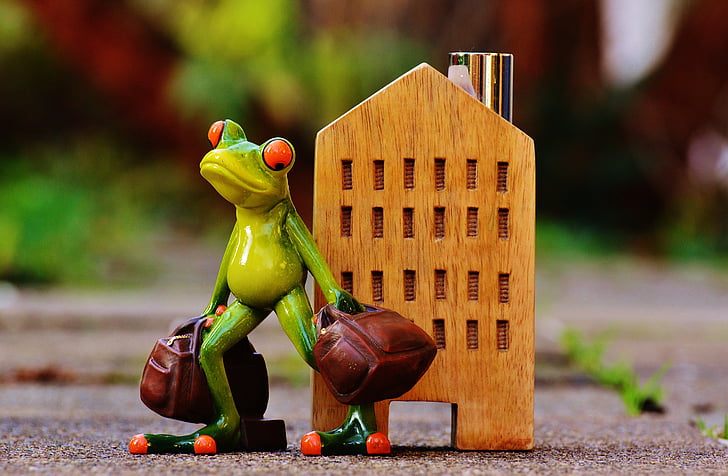 time to go, farewell, travel, frog, luggage, figure, cute