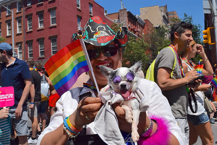 gay pride, Pride fest, σκύλος, NYC, Νέα Υόρκη, υπερηφάνεια, Fest