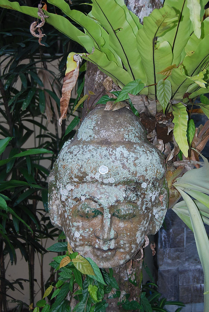 Buda, bild, Bali, skulptur, trädgård