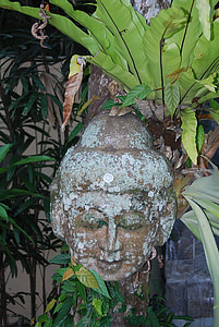 Buda, immagine, Bali, scultura, giardino