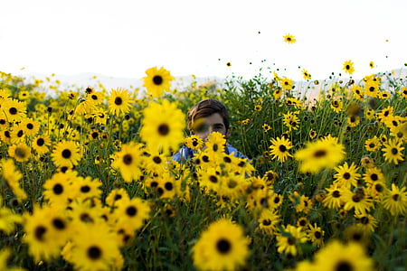 boy, blue, top, center, field, sunflower, daytime