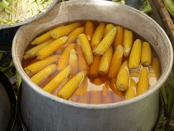 corn, corn on the cob, cook, eat, corn kernels, food, yellow