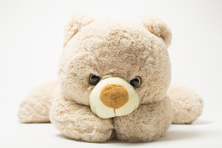 children, plush, gifts, teddy Bear, toy, bear, fluffy