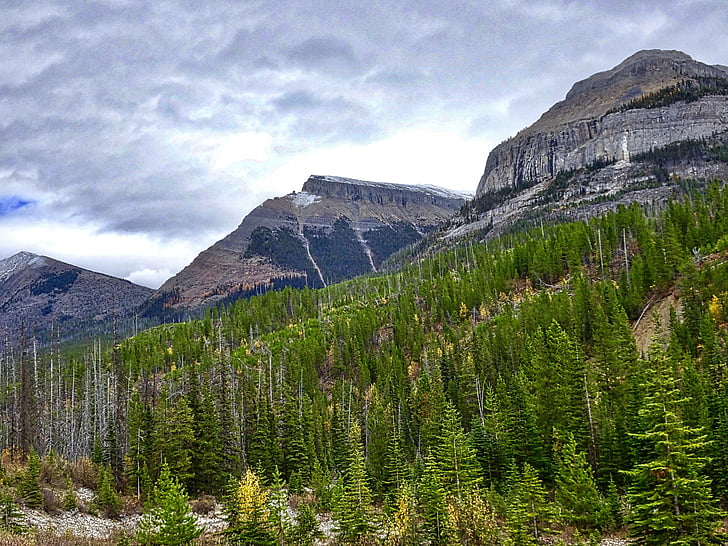 hösten, bergen, skogen, Klippiga bergen, Kanada, landskap, natursköna