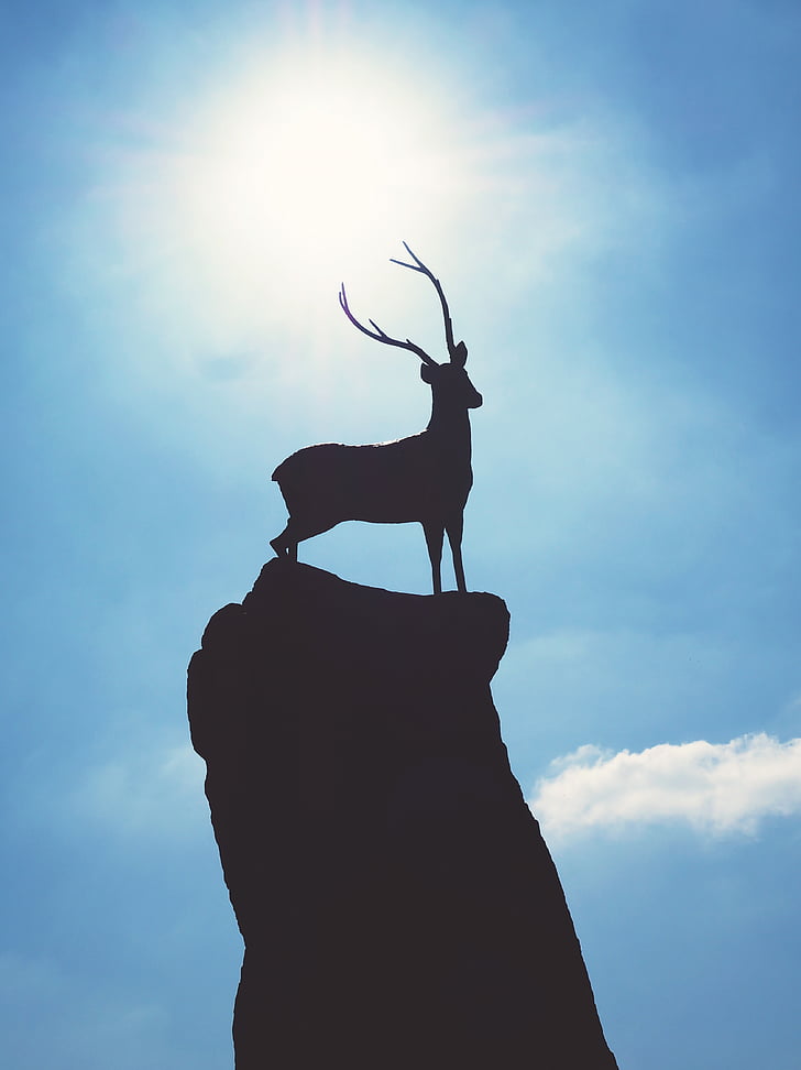 deer, statue, silhouette, animal, stag, hart, sculpture