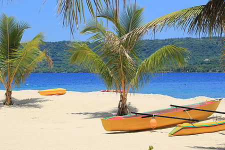 palm tree, canoe, island