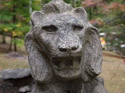 lav, kamena, simbol, kip, skulptura, Azija
