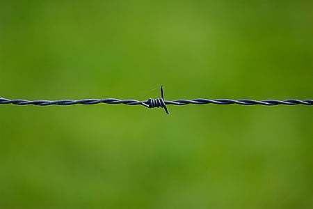 wire, security, thorn, close, fence, green, tiefenschärfe